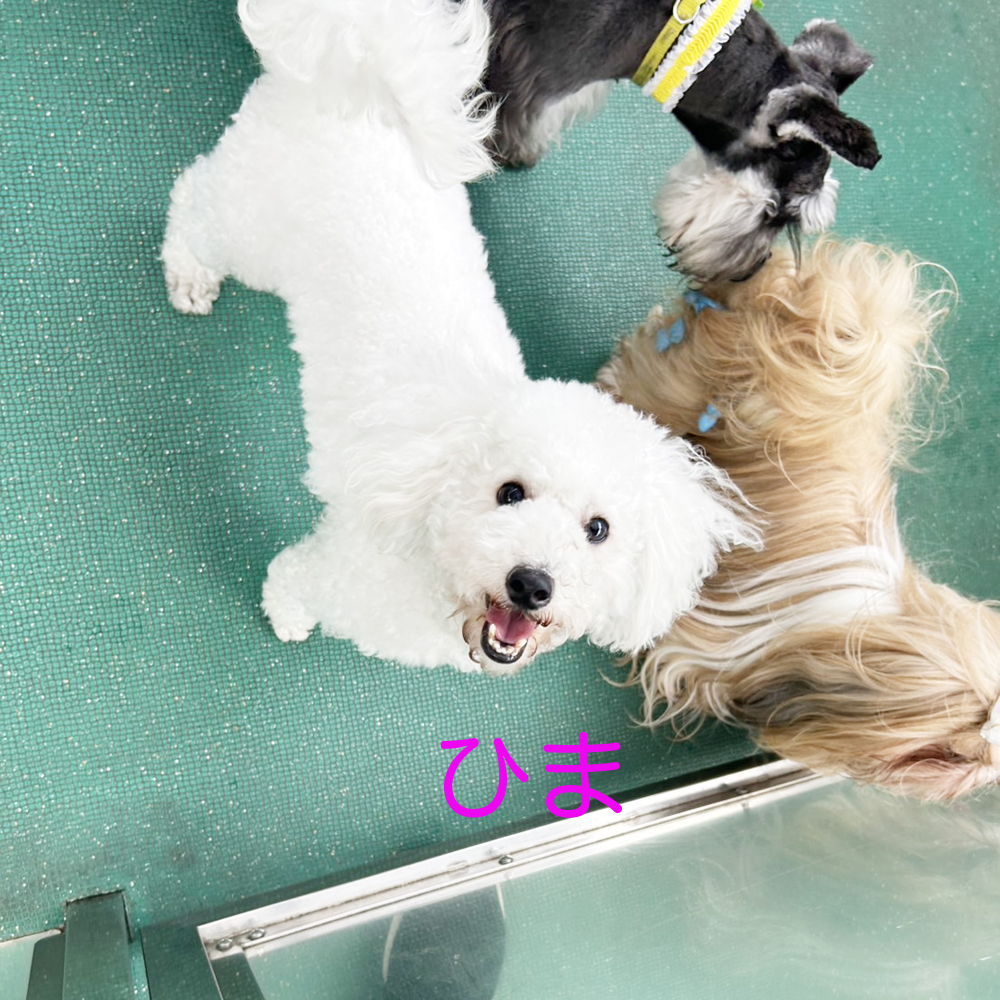 生徒が撮影してくれた写真☆